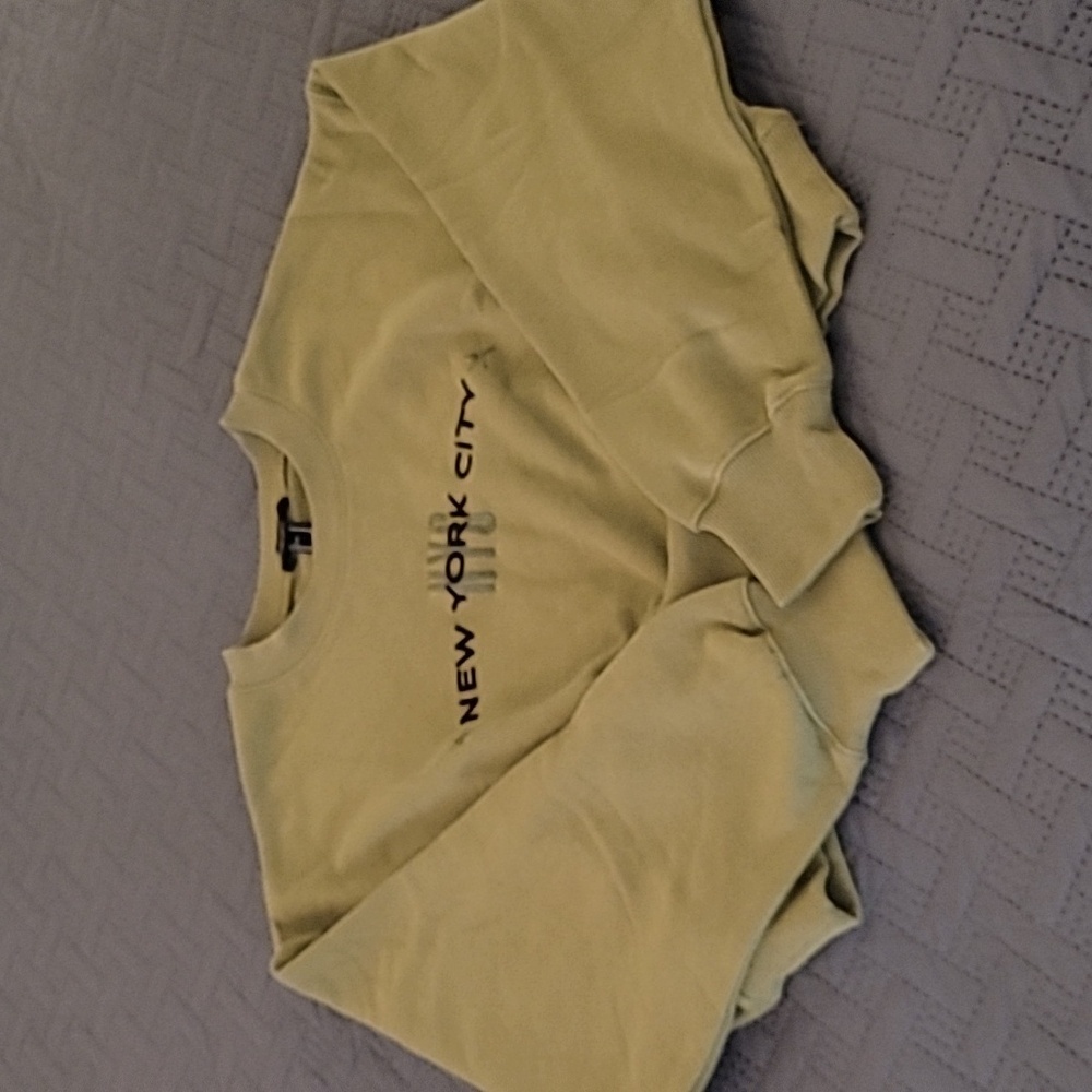 Forever 21 Crop Crew Sweater
